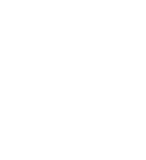 Foot Size